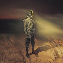 Cover of Midnight Landscape