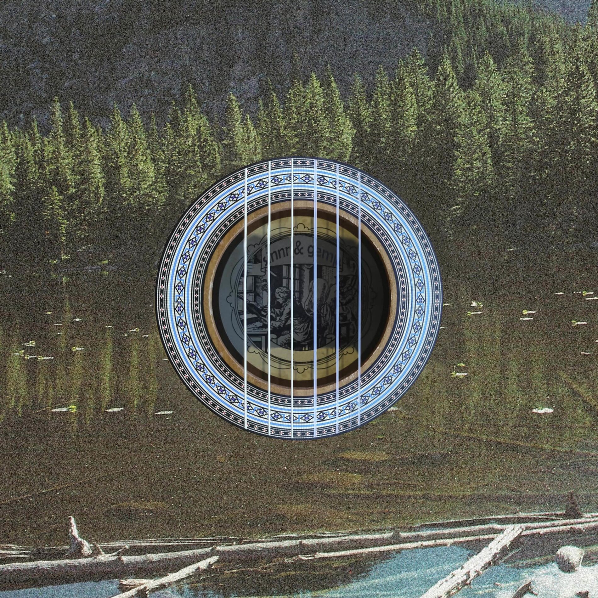 Album cover of Portrait