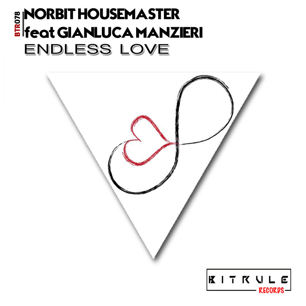 Picture of Endless Love (Endless Mix)