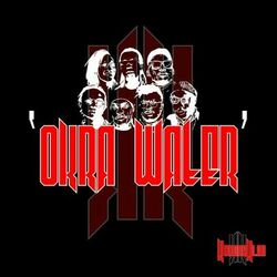 Cover of Okra Water