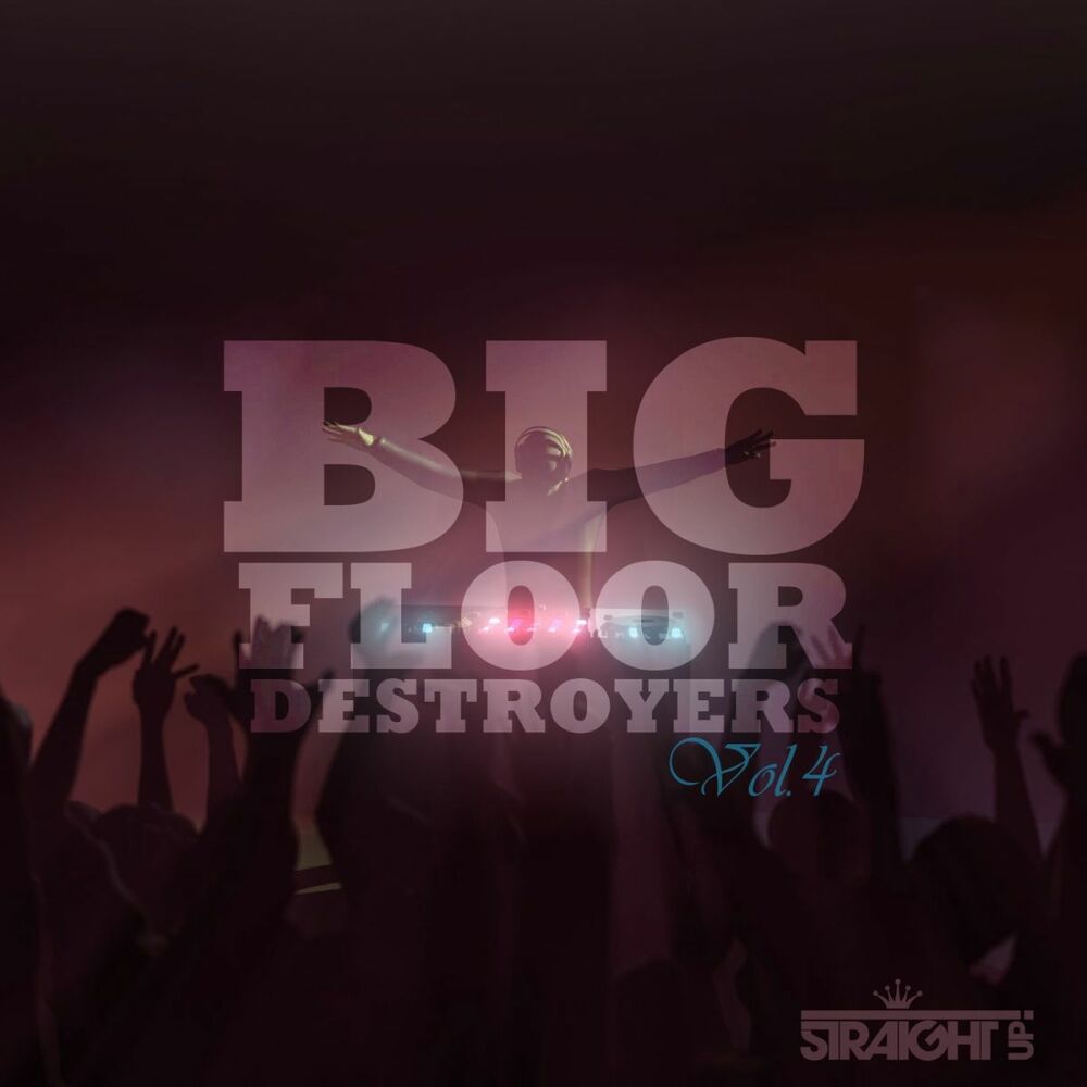 Picture of Big Floor Destroyers Vol. 4