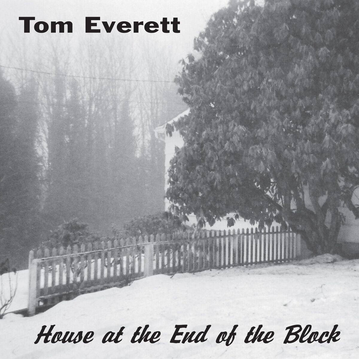 Album cover of House at the End of the Block