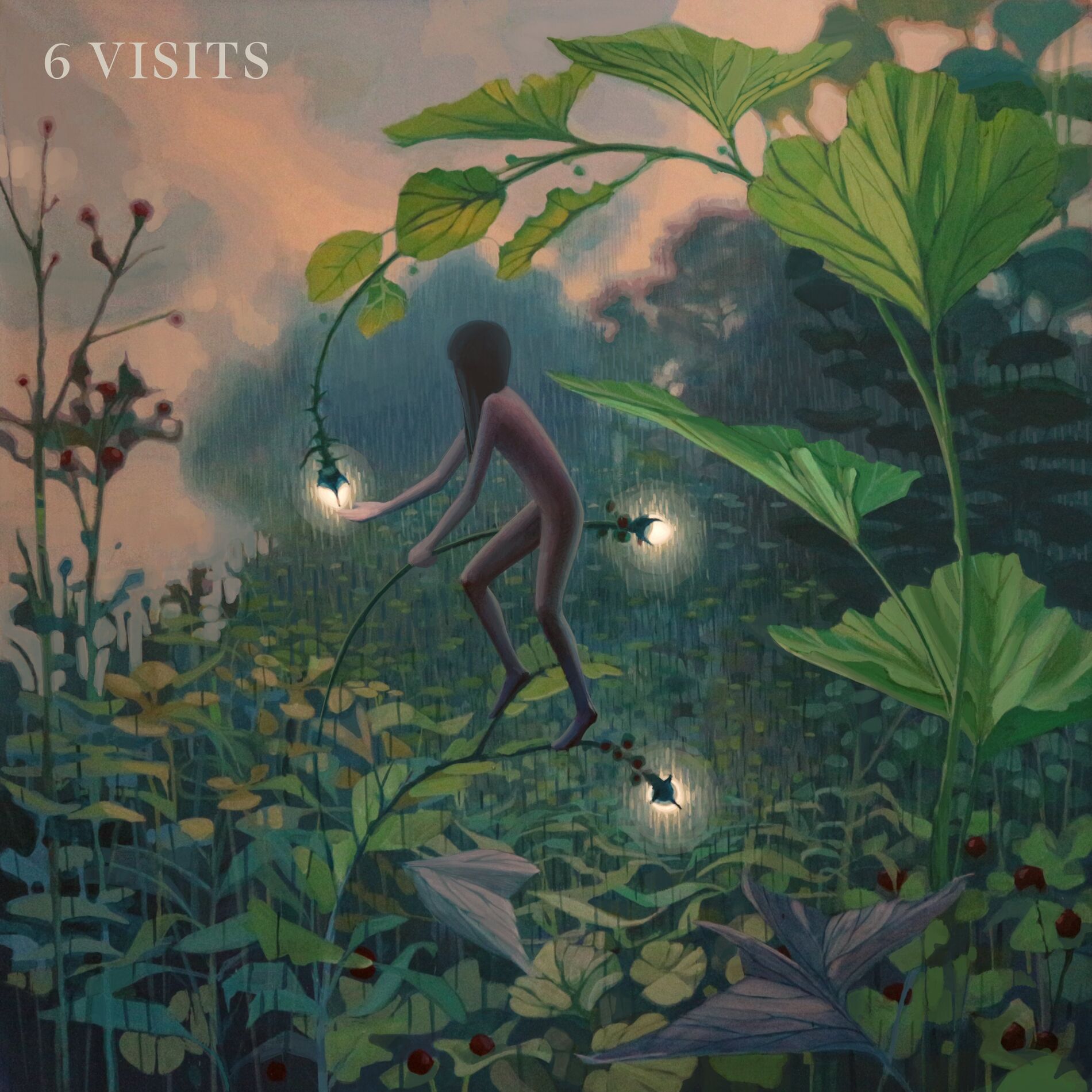 Album cover of 6 Visits