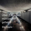 &Uuml;ber 7 Br&uuml;cken m&uuml;ssen wir gehen8