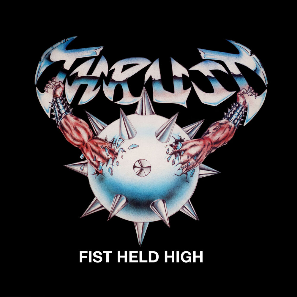 Picture of Fist Held High