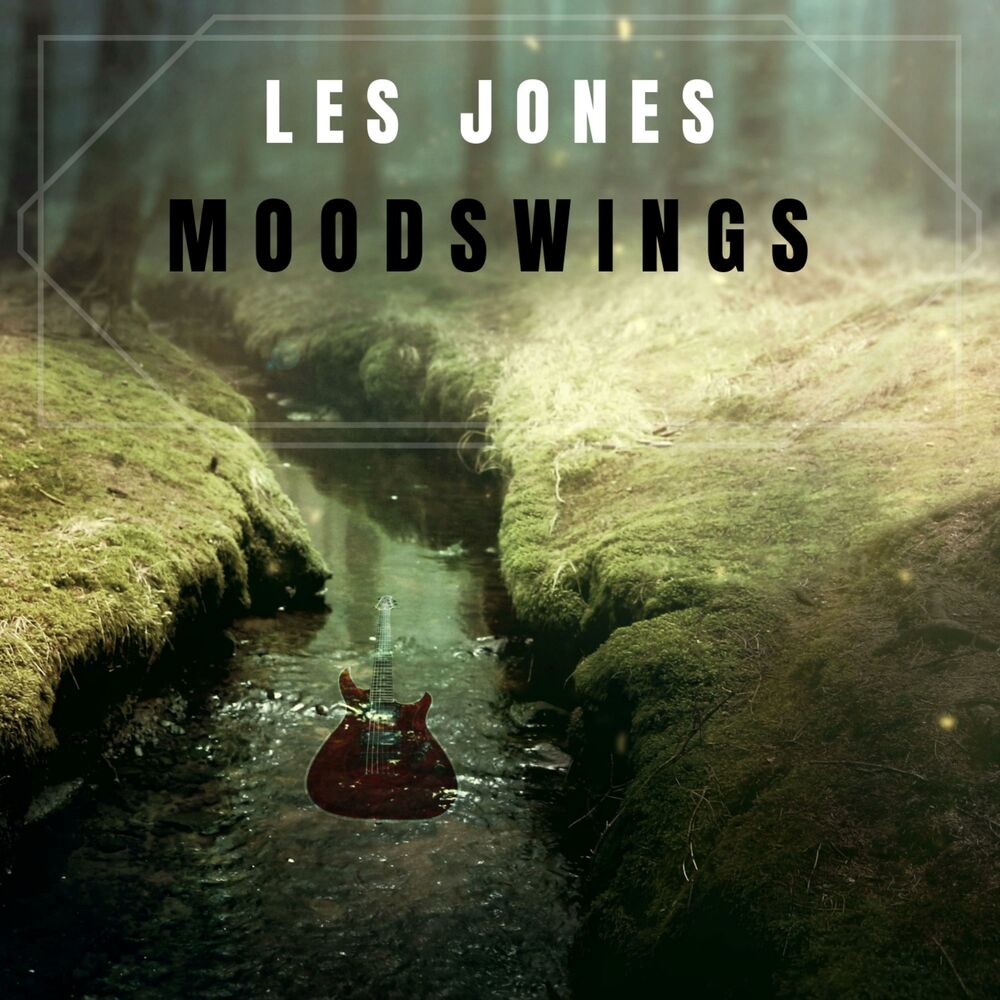 Picture of Moodswings