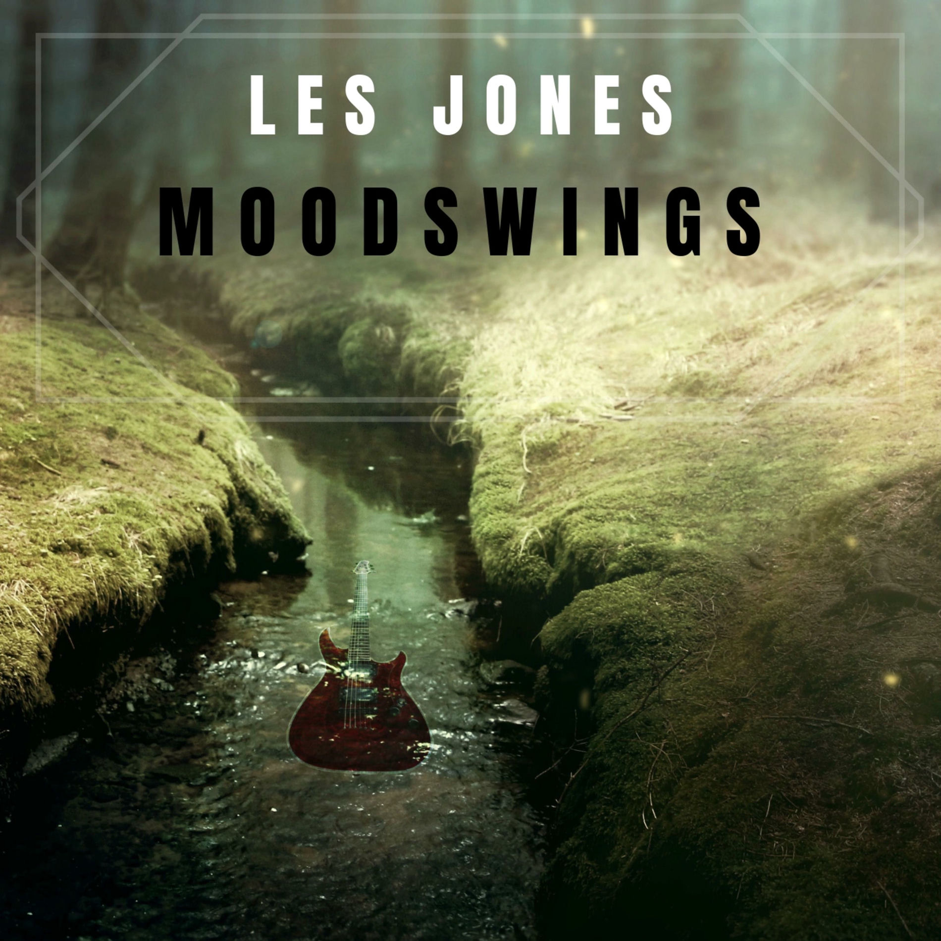 Album cover of Moodswings