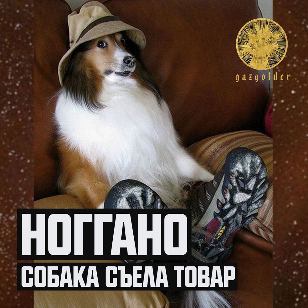 Picture of Собака съела товар