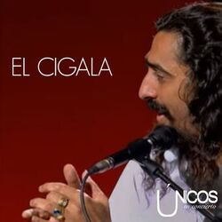Únicos en Concierto. Diego el Cigala (En Directo)