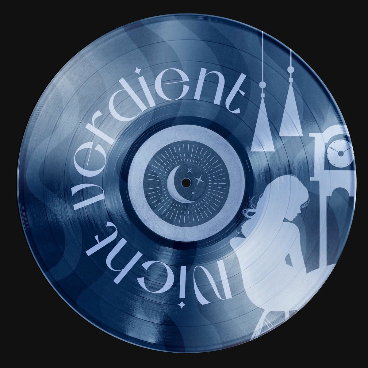 Album cover of NICHT VERDIENT