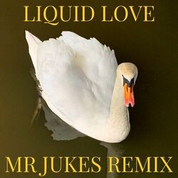 Cover of Liquid Love (Mr Jukes Remix)