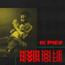 Cover of Never Too Late