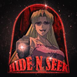 Cover of HIDE N SEEK