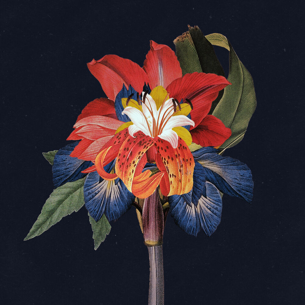 Picture of Nervous Tics (feat. Holly Walker)