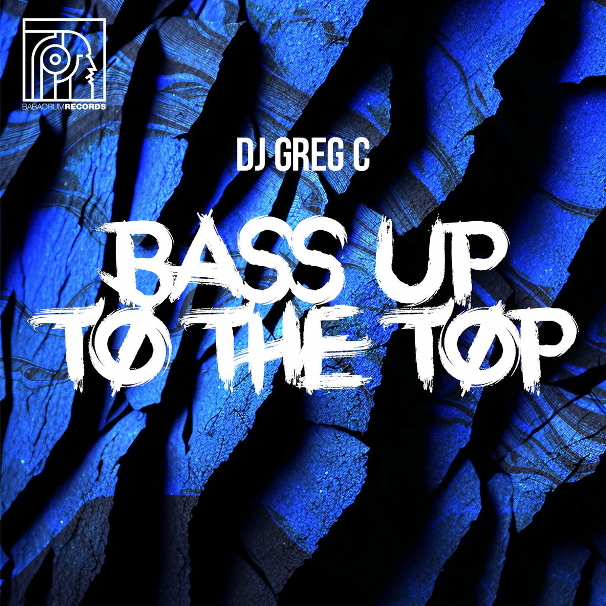 Album cover of Bass Up To The Top