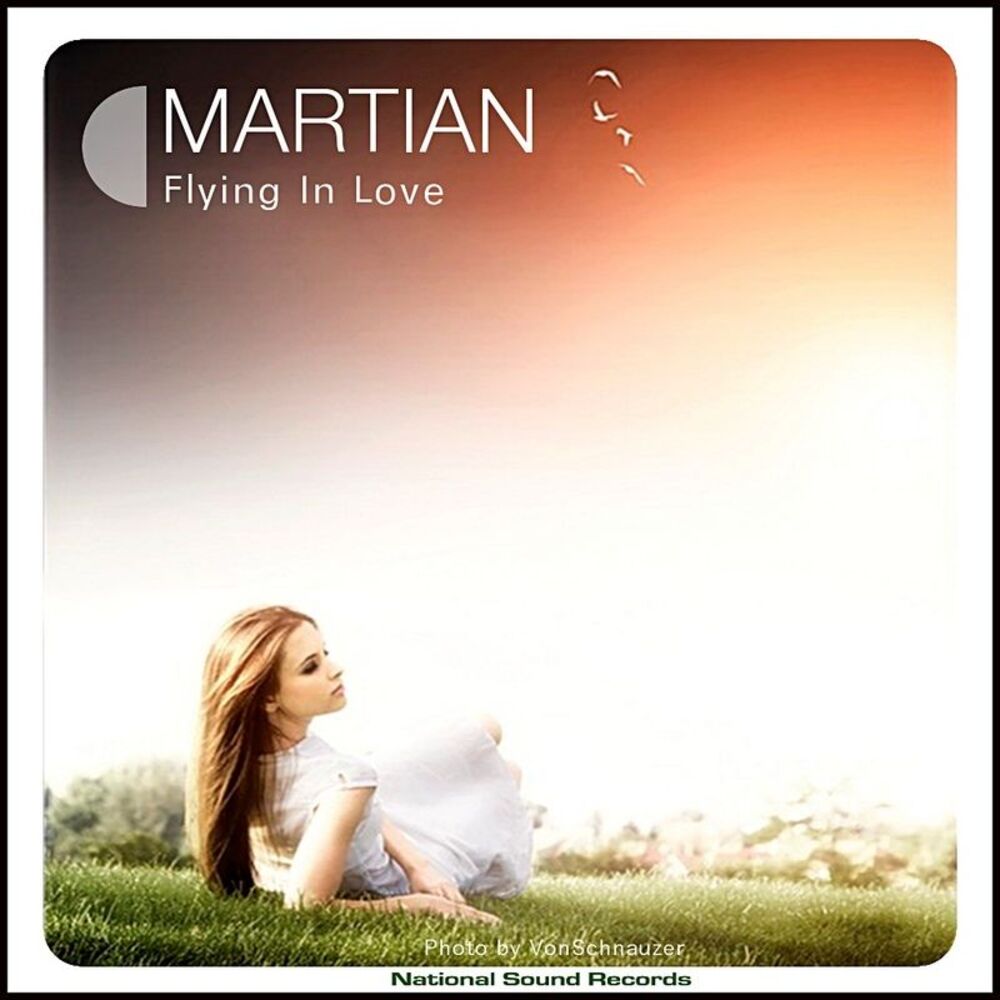 Picture of Flying in Love