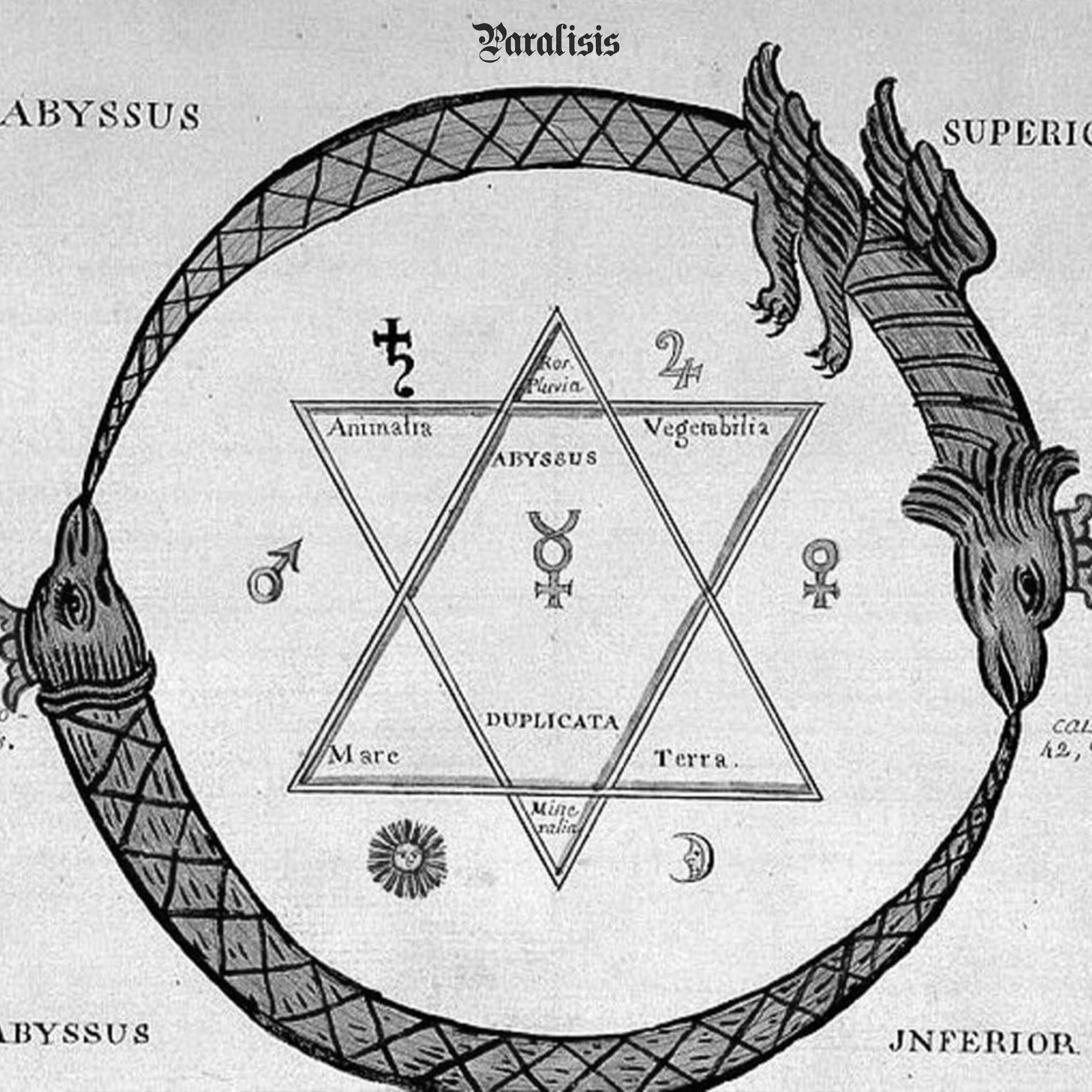 Album cover of Parálisis