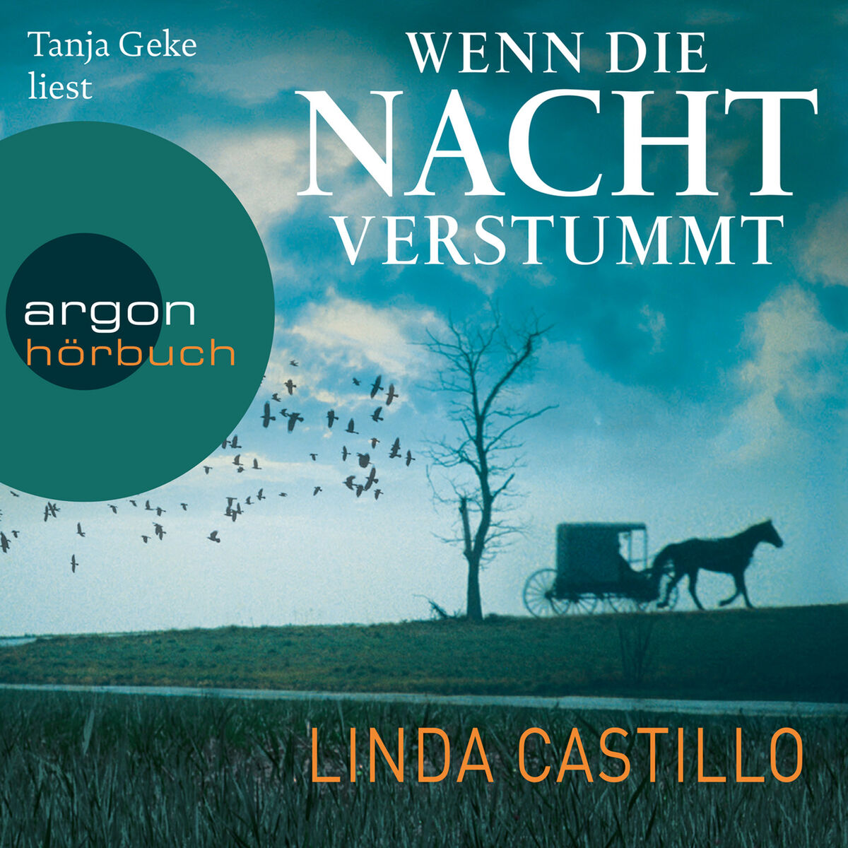 Album cover of Kapitel 1 - Wenn die Nacht verstummt - Kate Burkholder ermittelt, Band 3