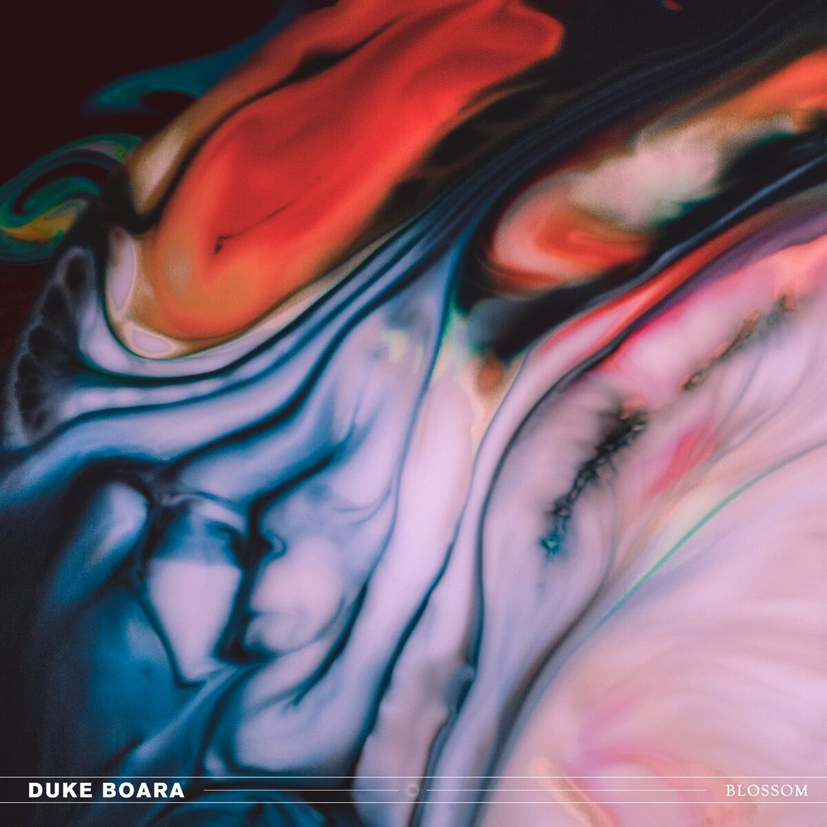 Album cover of Blossom