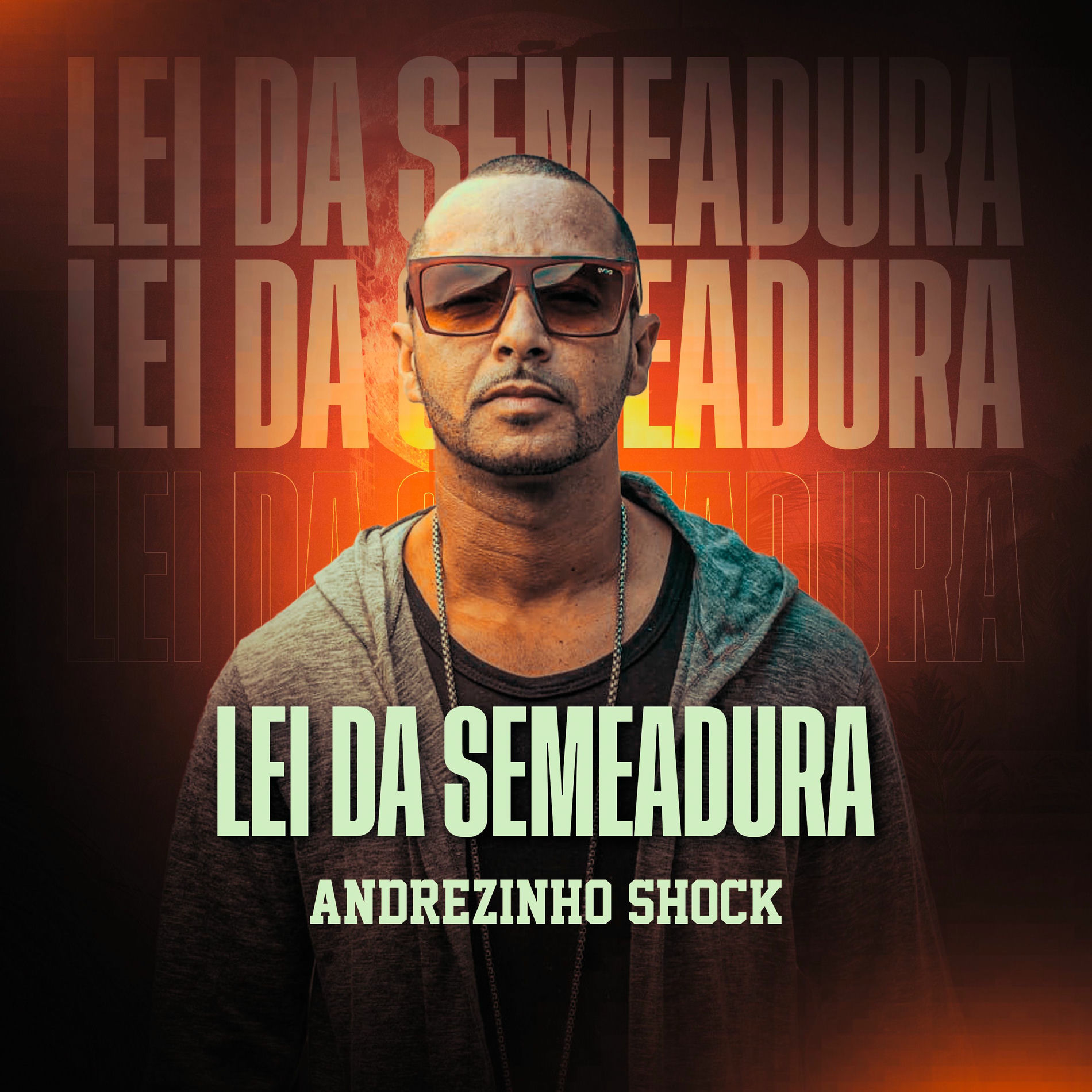 Album cover of Lei da Semeadura