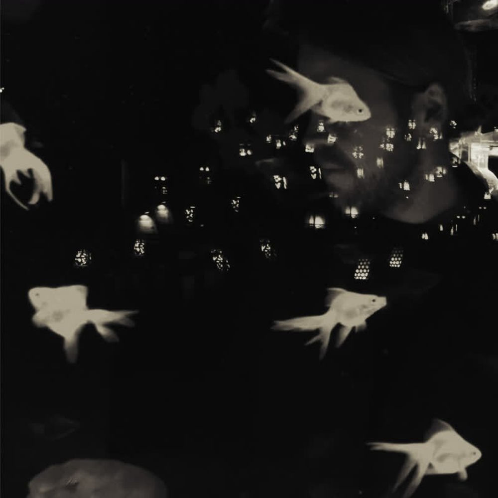 Album artwork for I’m Down by Child