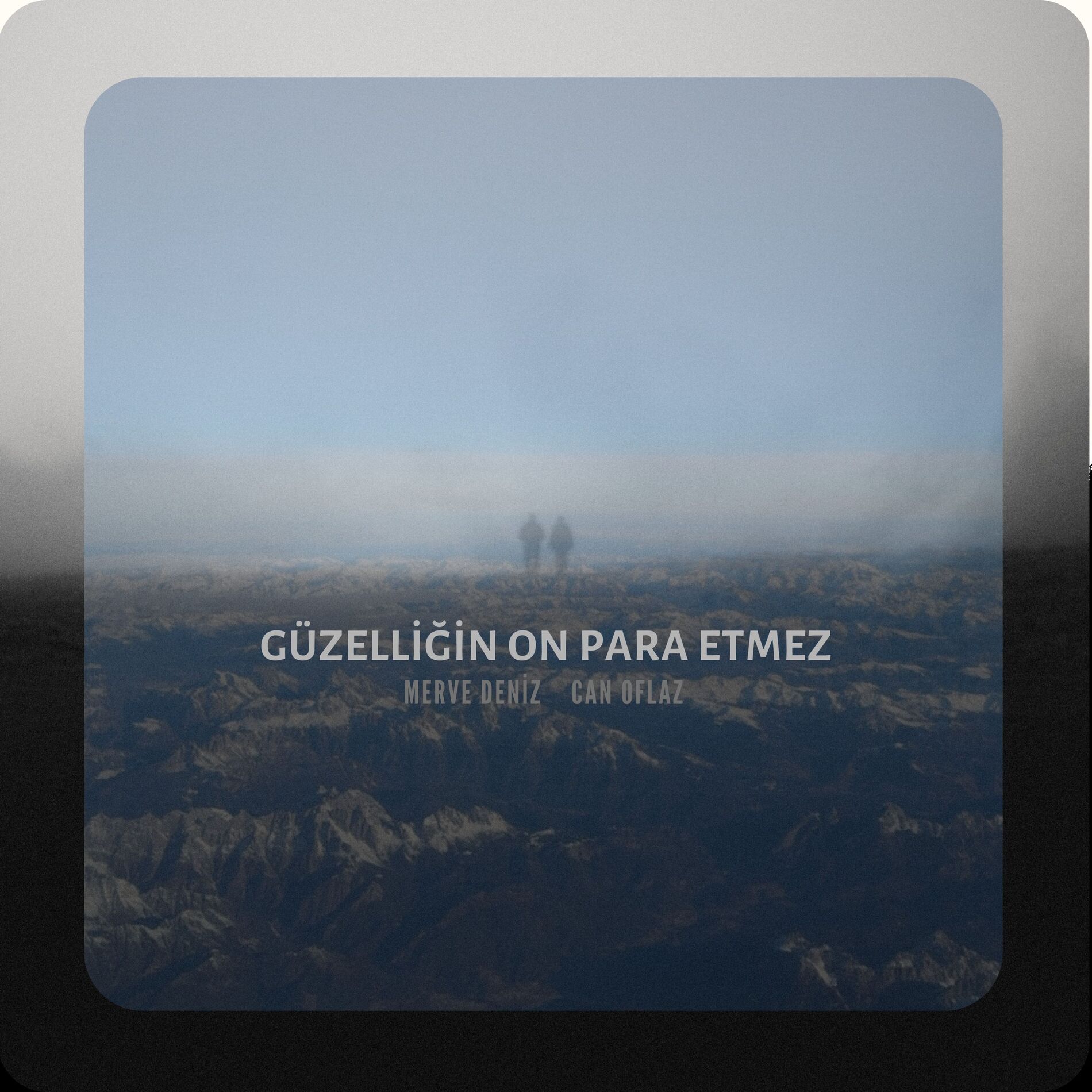 Album cover of Güzelliğin On Para Etmez