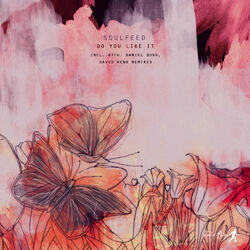 Cover of Do You Like It