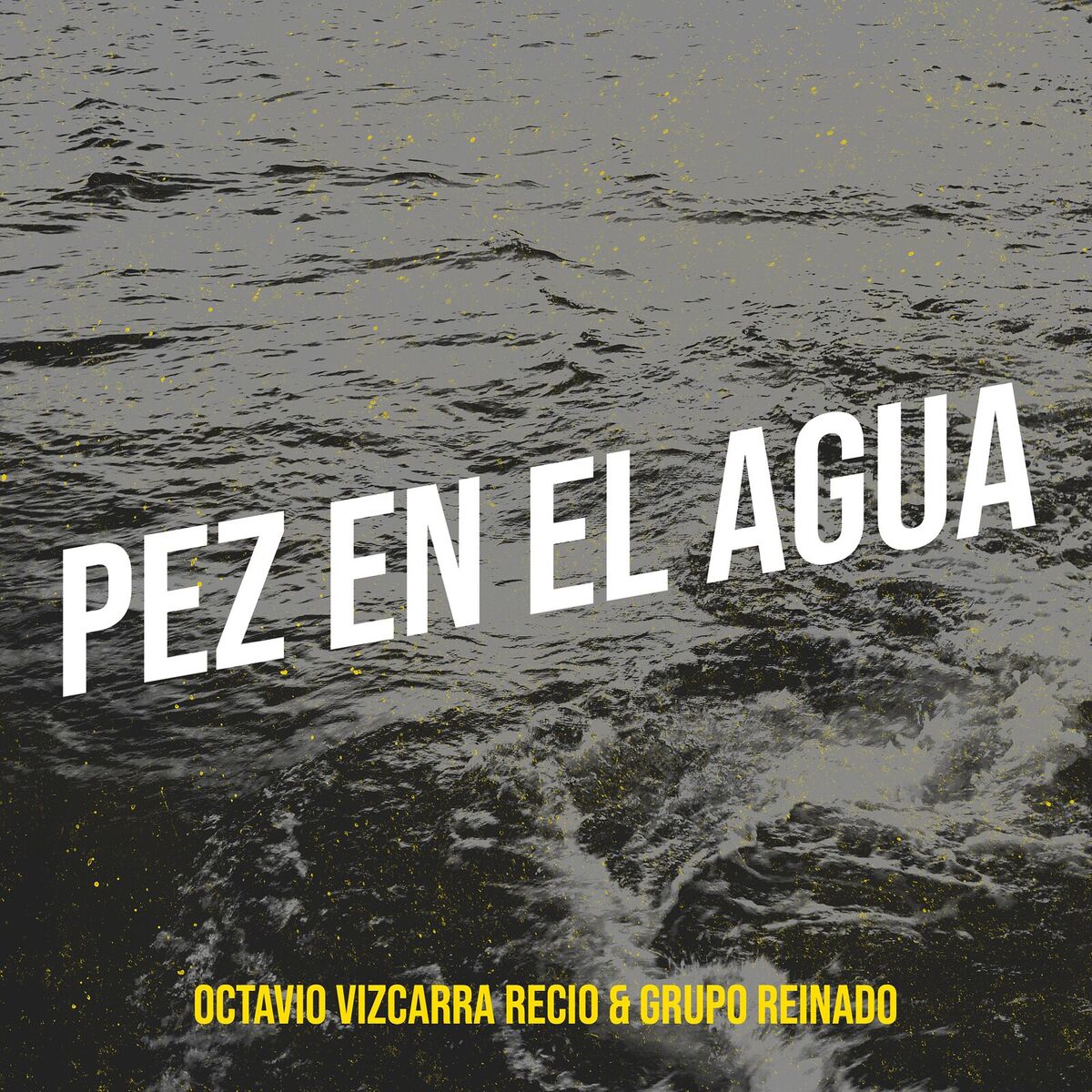 Album cover of Pez En El Agua
