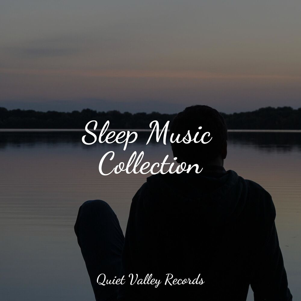 Picture of Sleep Music Collection