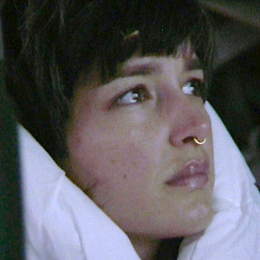 Picture of the wanderer, a song for timothée chalamet
