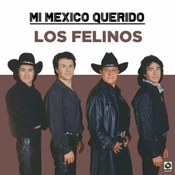 Cover of Mi Mexico Querido