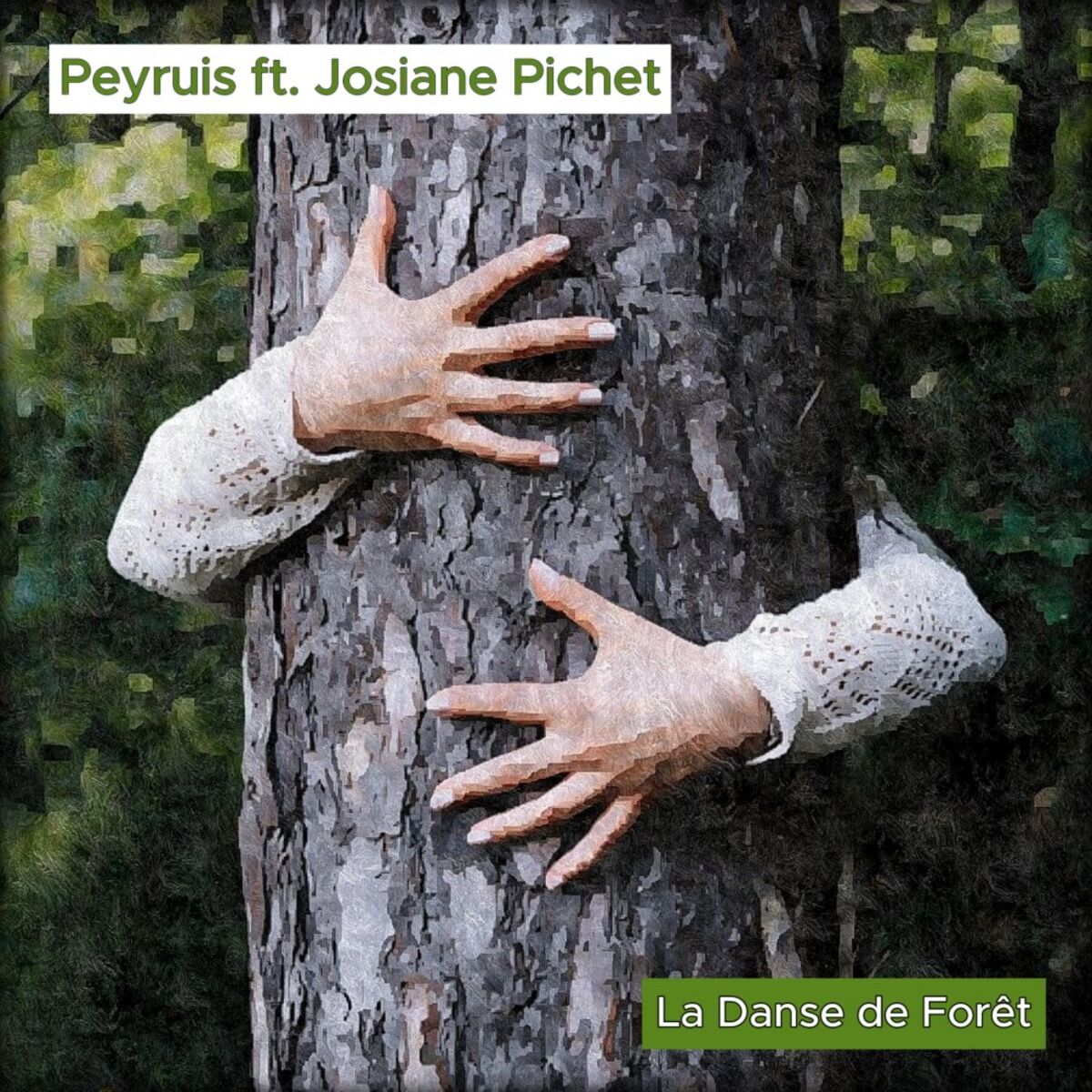Album cover of La Danse de Forêt
