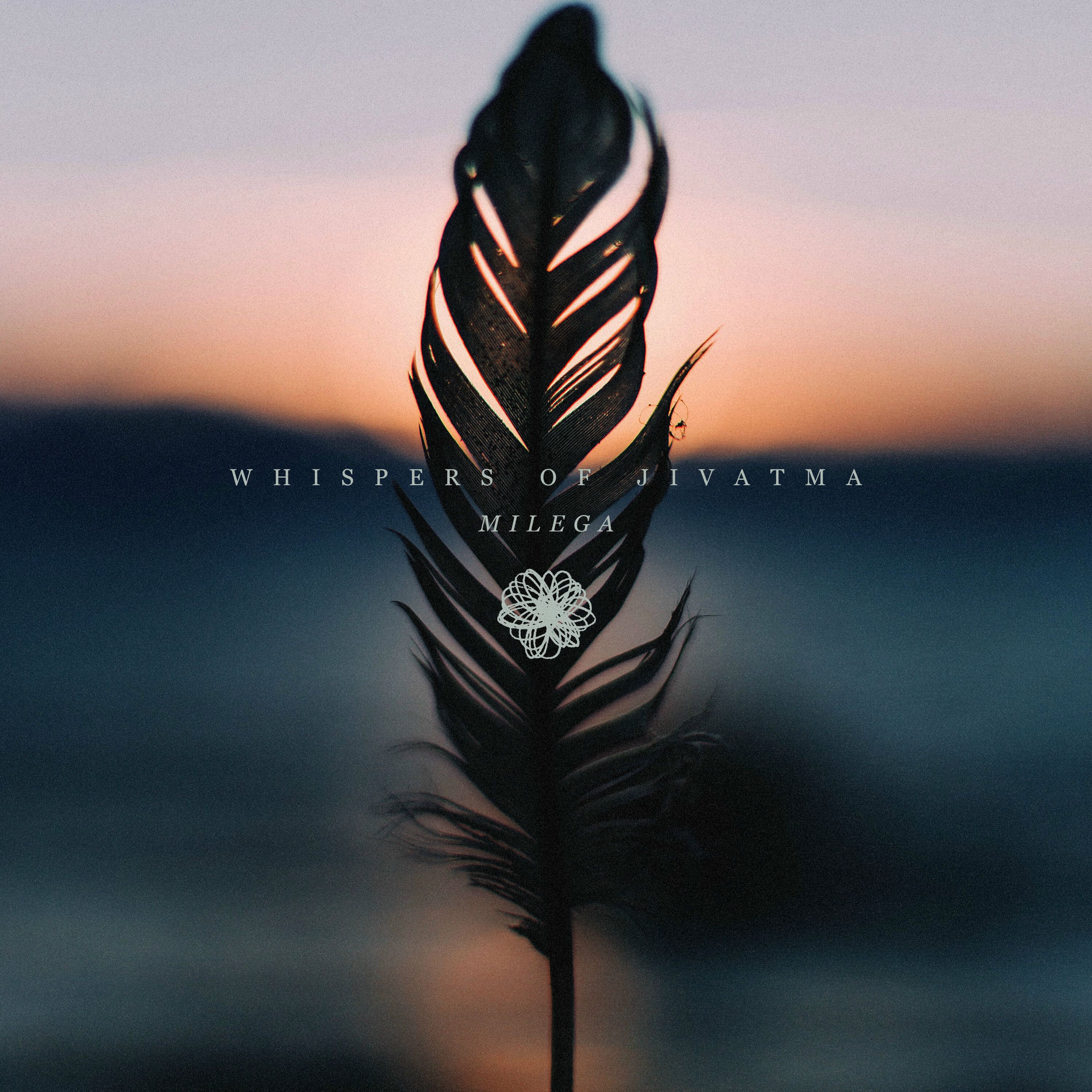 Album cover of Milega