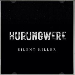 Cover of Hurungwere