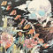 The Fear by The Shins album cover