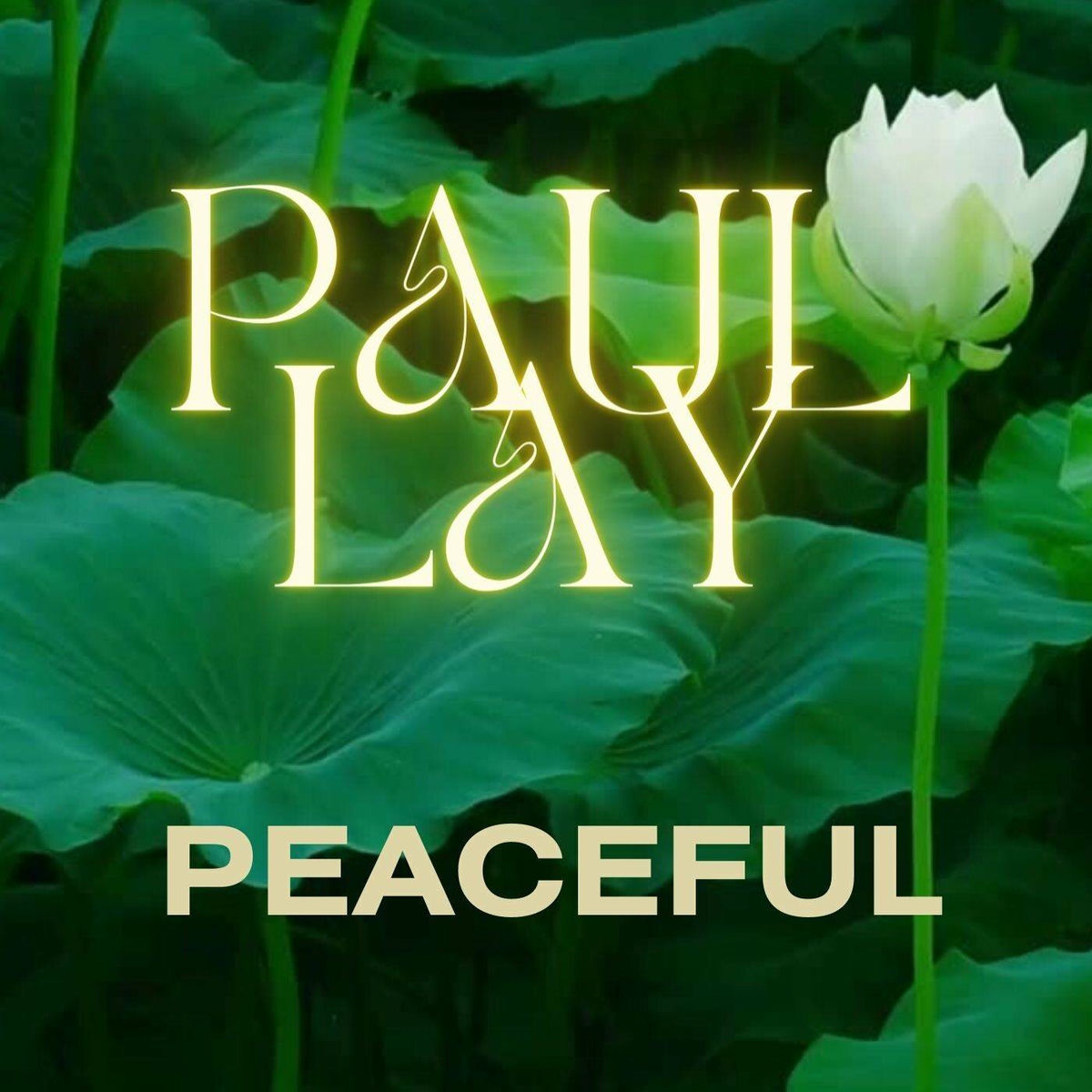 Album cover of Peaceful