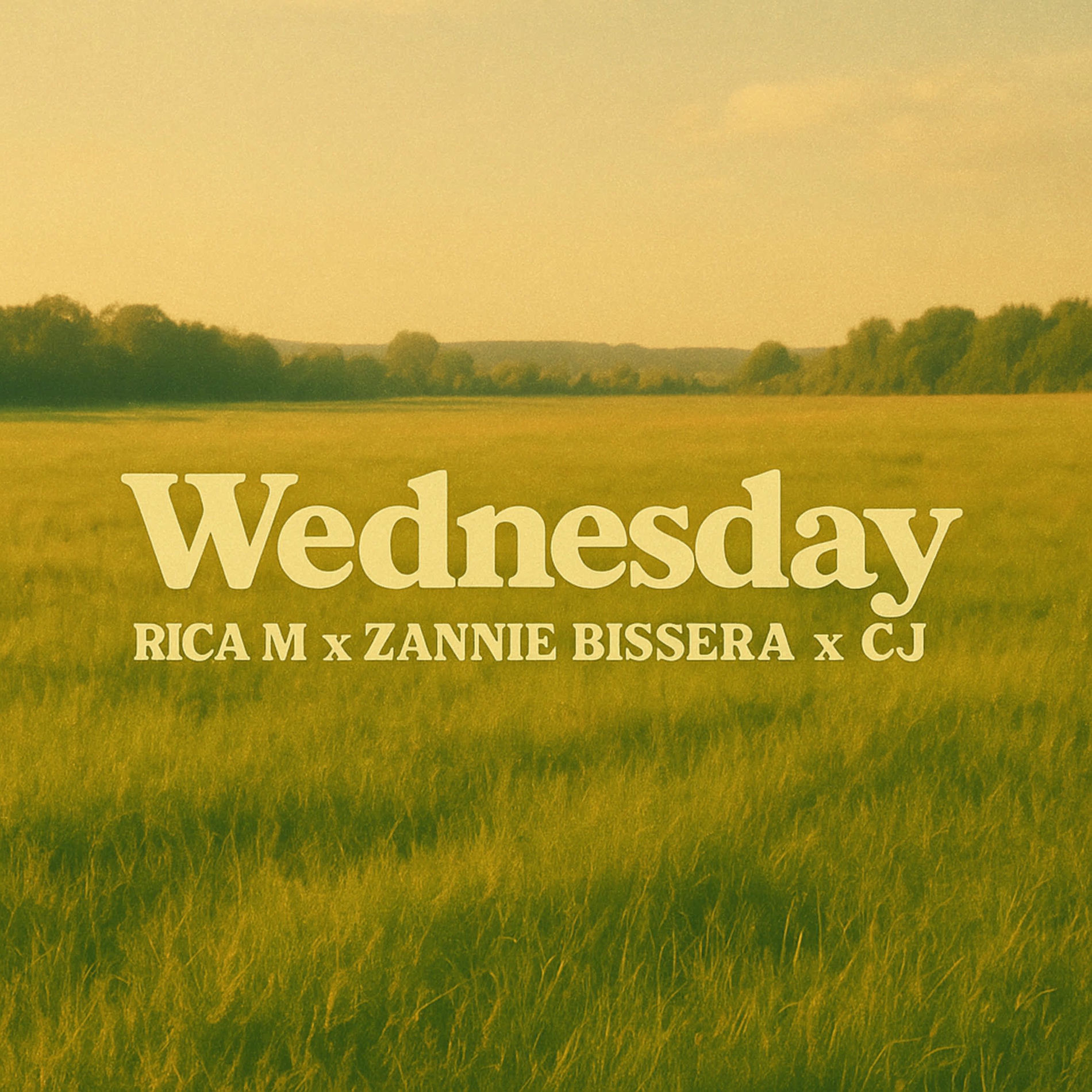 Album cover of Wednesday