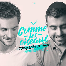 Cover of Comme Les Oiseaux