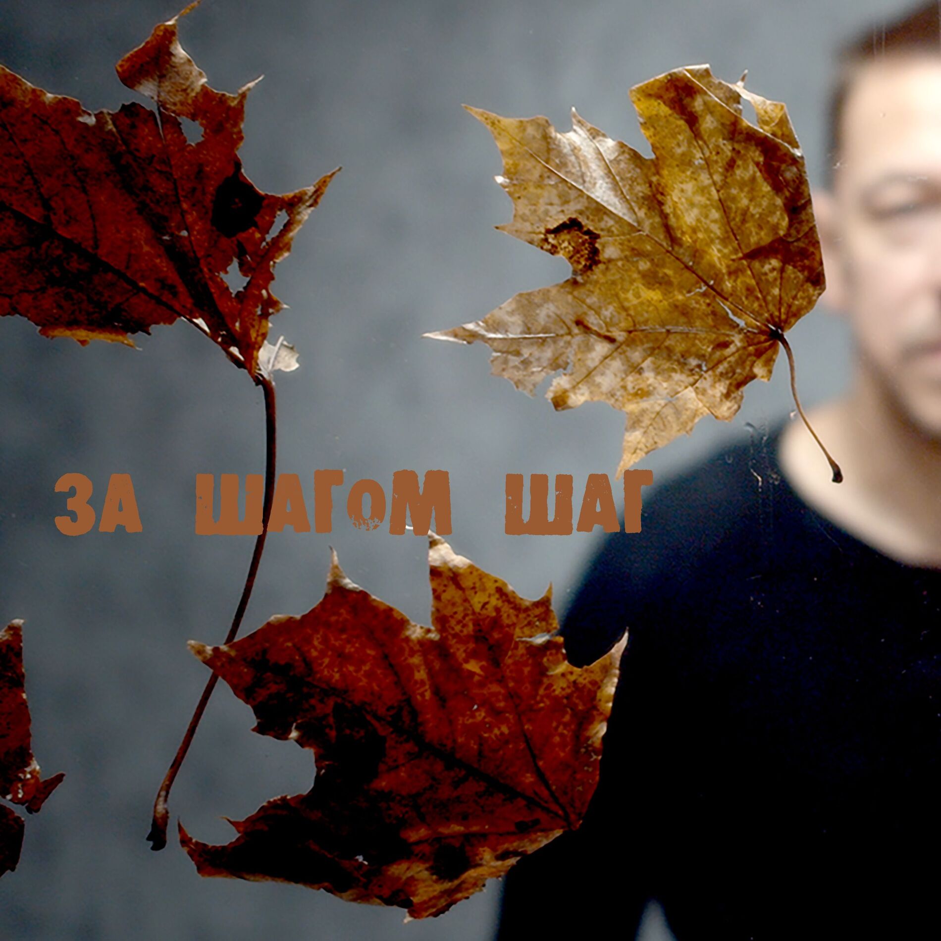 Album cover of За шагом шаг