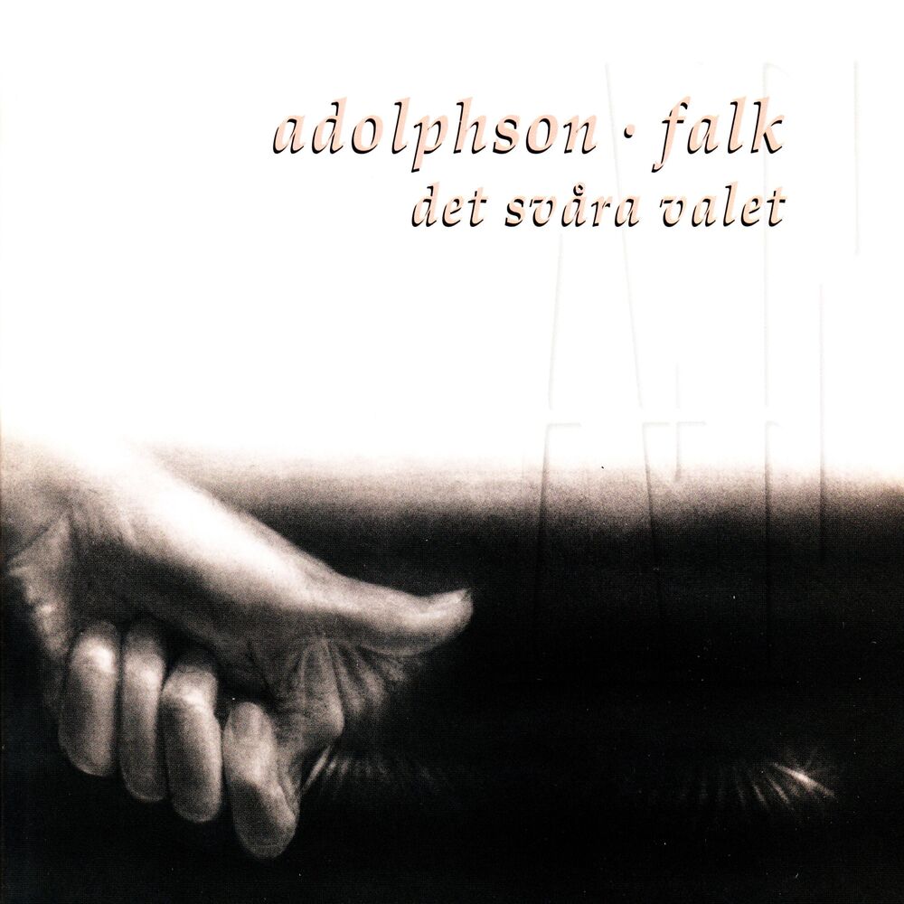 Picture of Det svåra valet