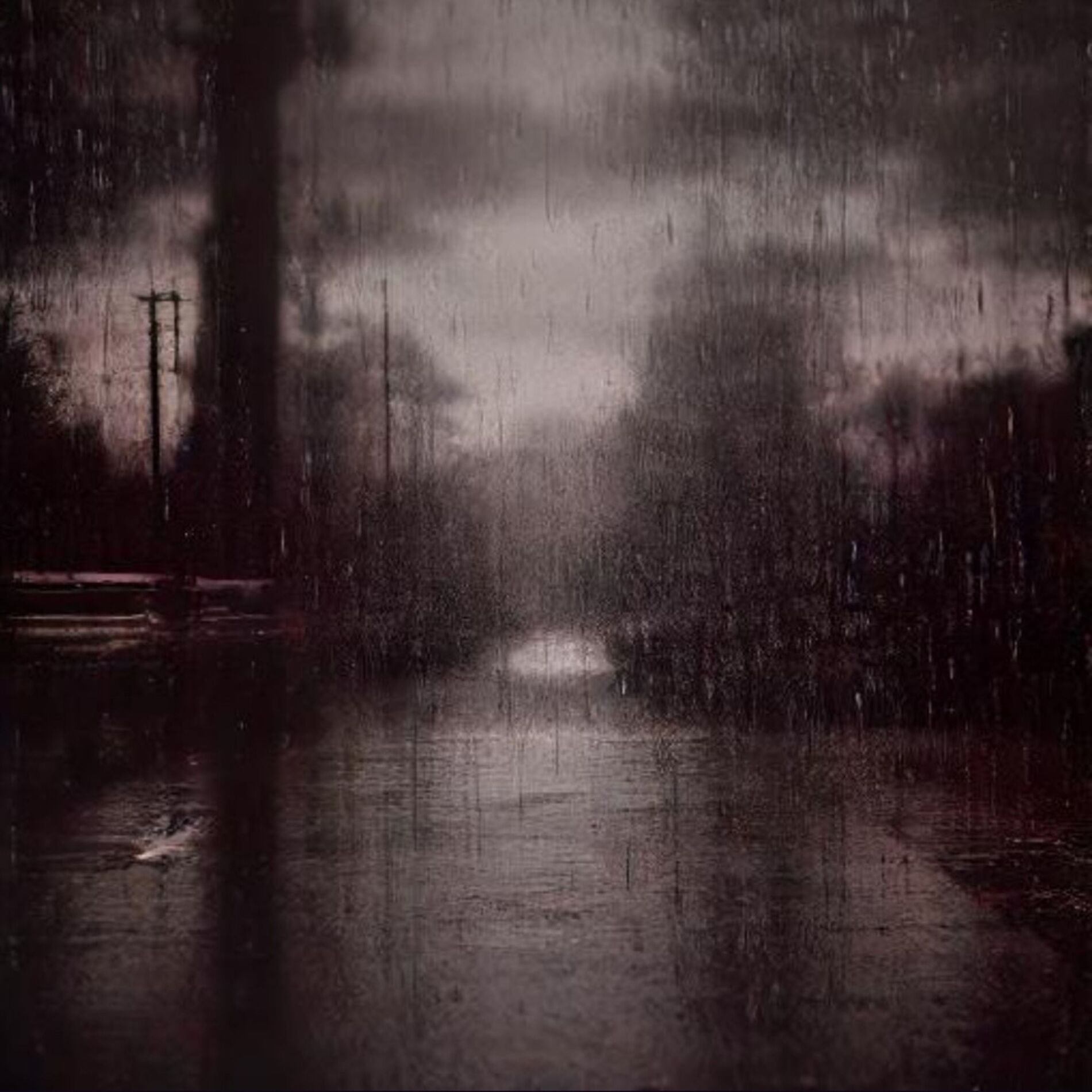 Album cover of NOIR