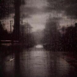 Cover of NOIR