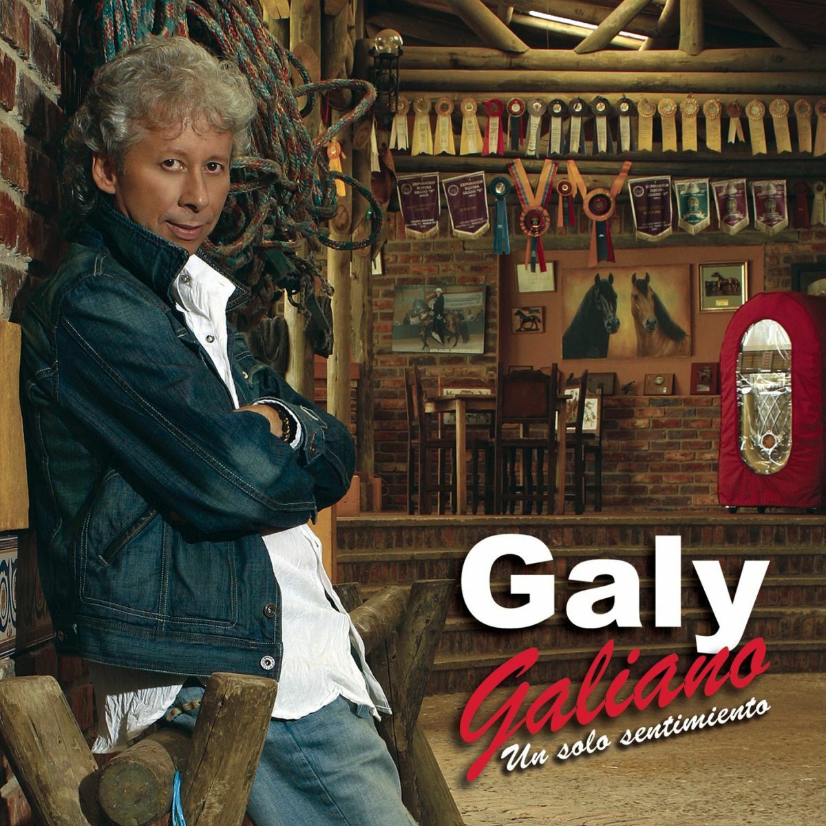 Album cover of Un Solo Sentimiento