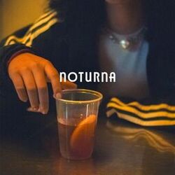 Cover of Noturna