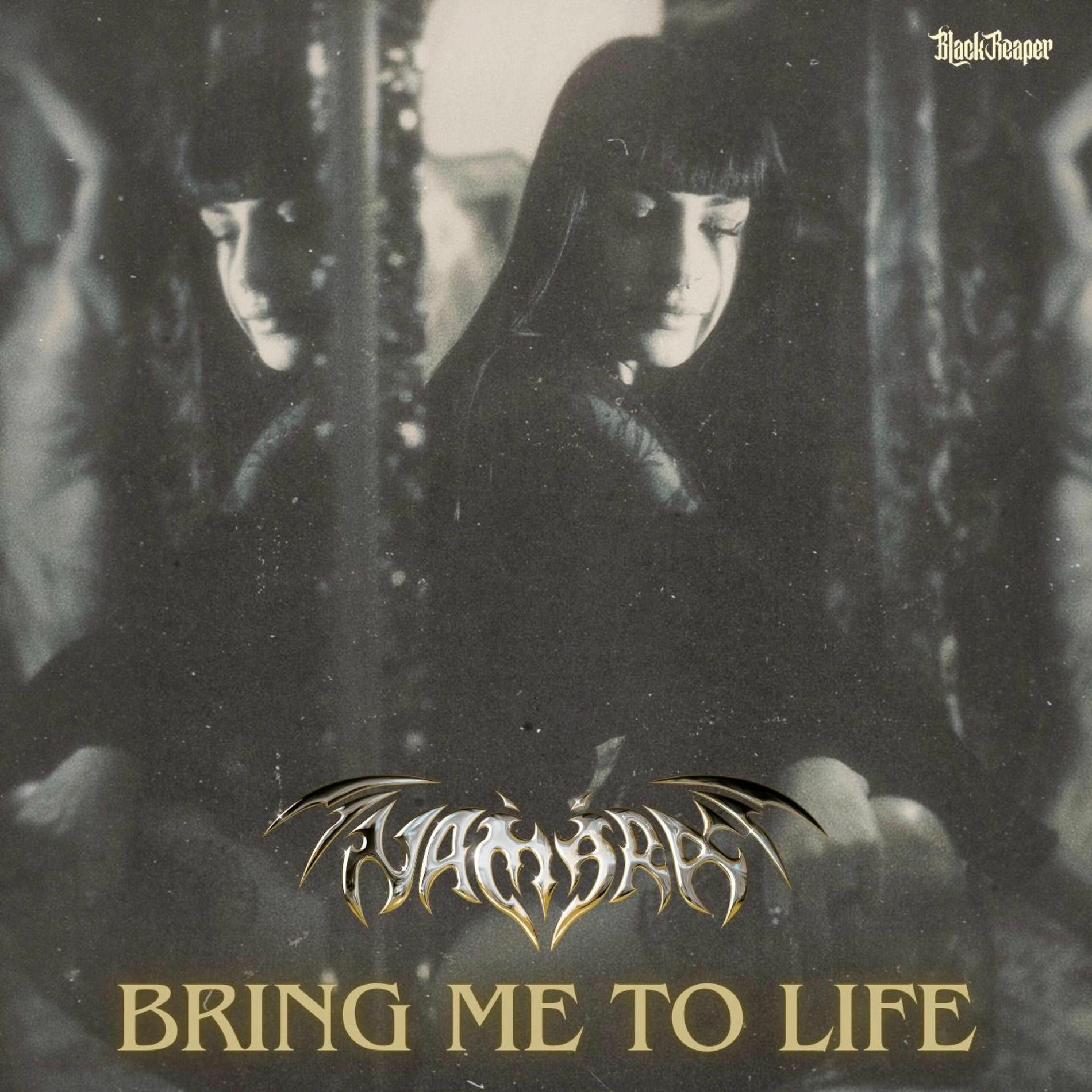 Album cover of Bring Me To Life