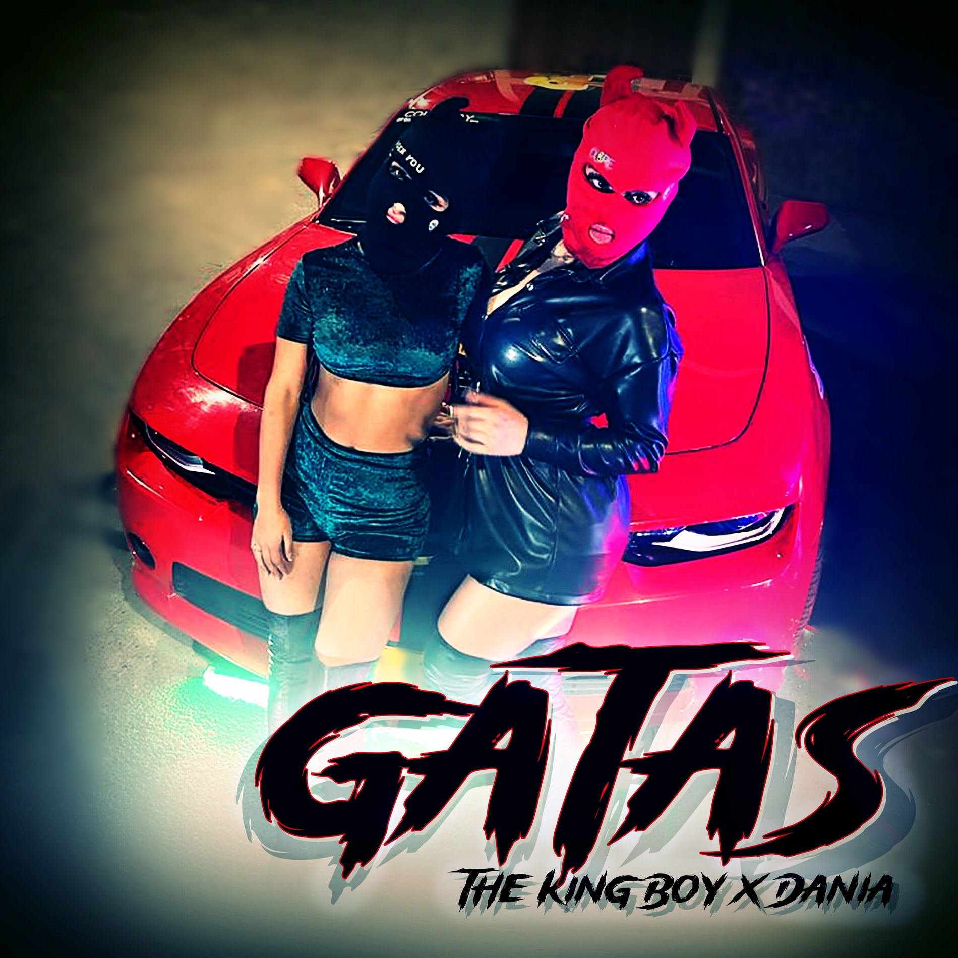 Album cover of Gatas