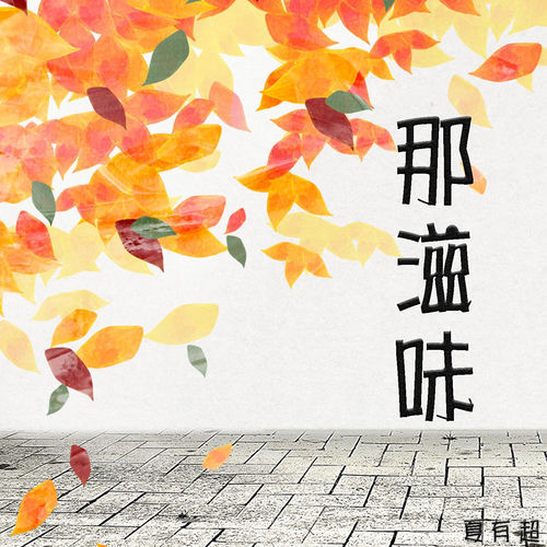 那滋味 (DJ版)