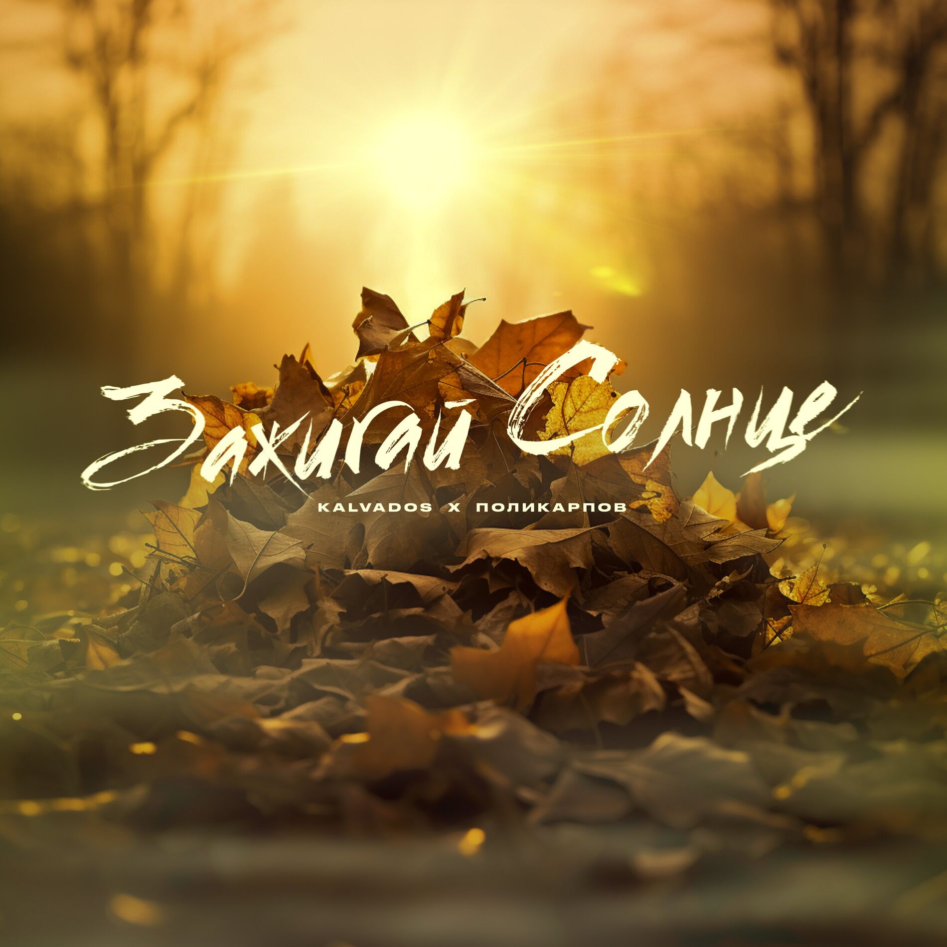 Album cover of Зажигай солнце