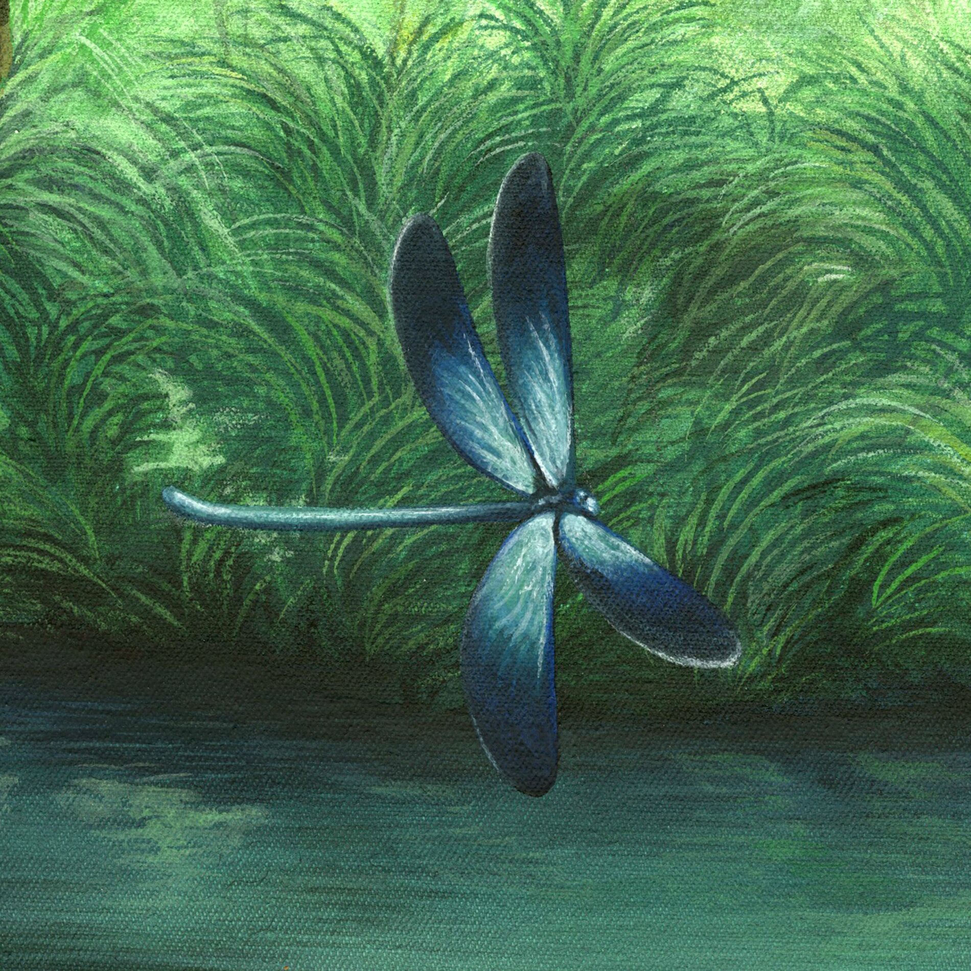 Album cover of iinsects