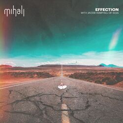 Cover of Effection